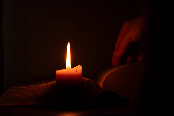 25 Bible Verses About Farming