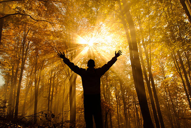 10 Powerful Bible Verses About God’s Provision