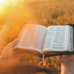 40 Encouraging Bible Verses For Women