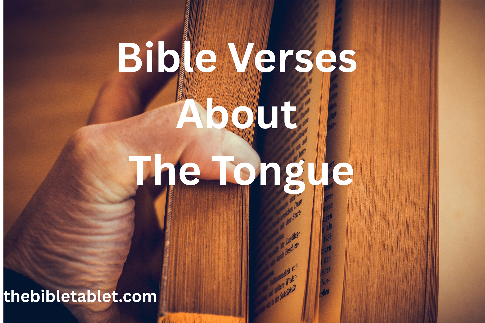 Bible Verses About The Tongue
